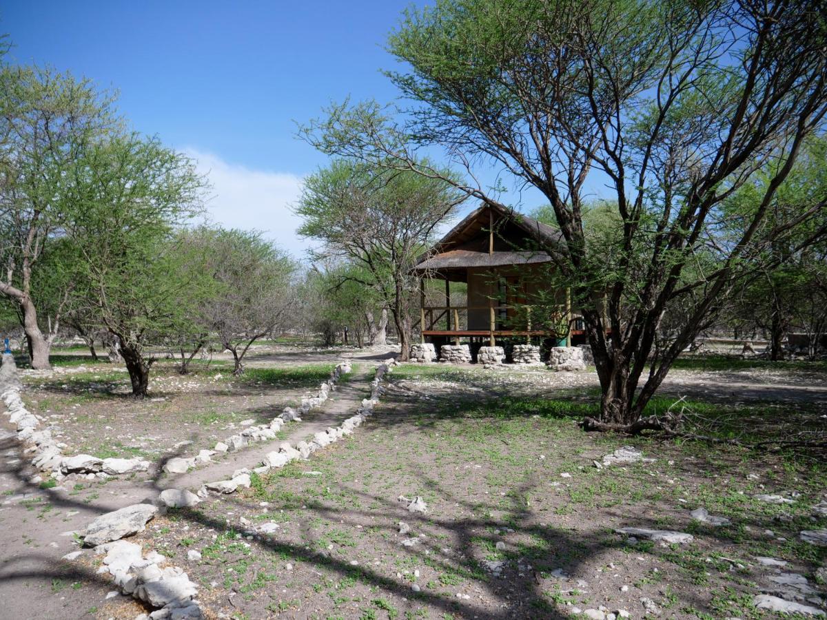 Villa Thakadu Bush Camp Ghanzi Exterior foto